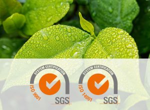 ISO Quality and Environmental Certification (9001:2015 and 14001:2015)